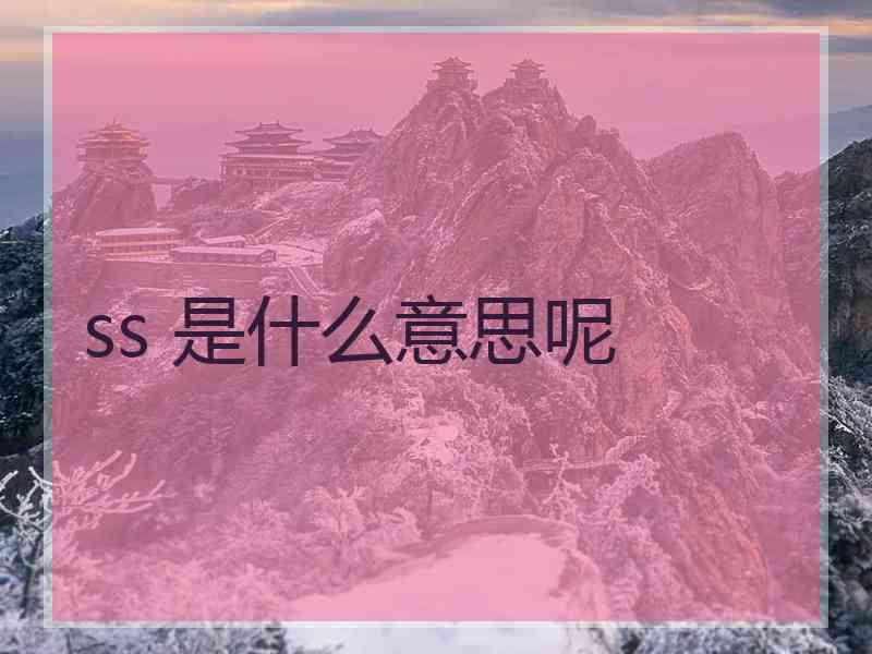 ss 是什么意思呢