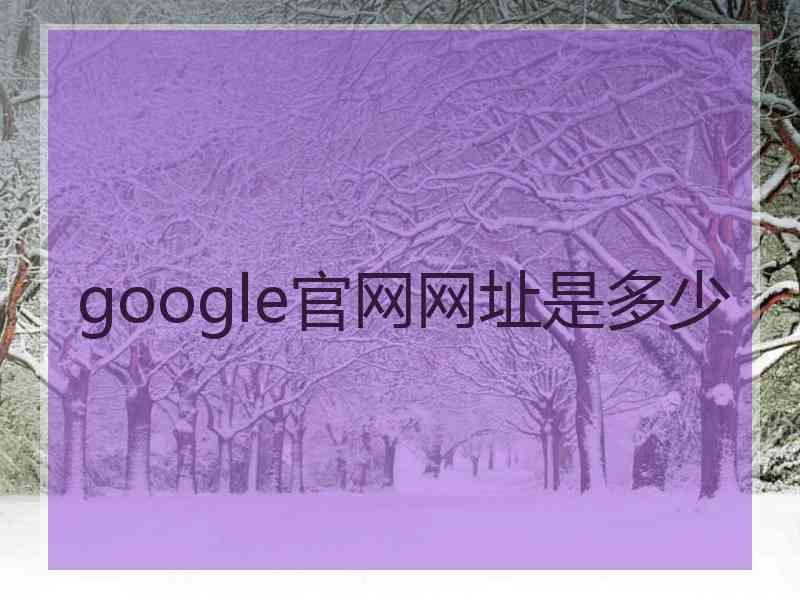 google官网网址是多少