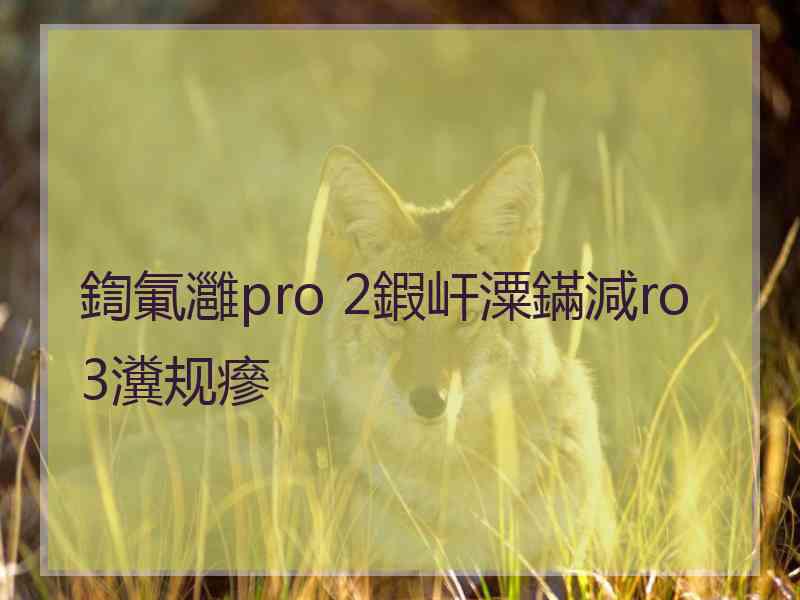 鍧氭灉pro 2鍜屽潥鏋減ro 3瀵规瘮