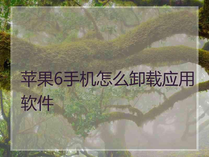 苹果6手机怎么卸载应用软件