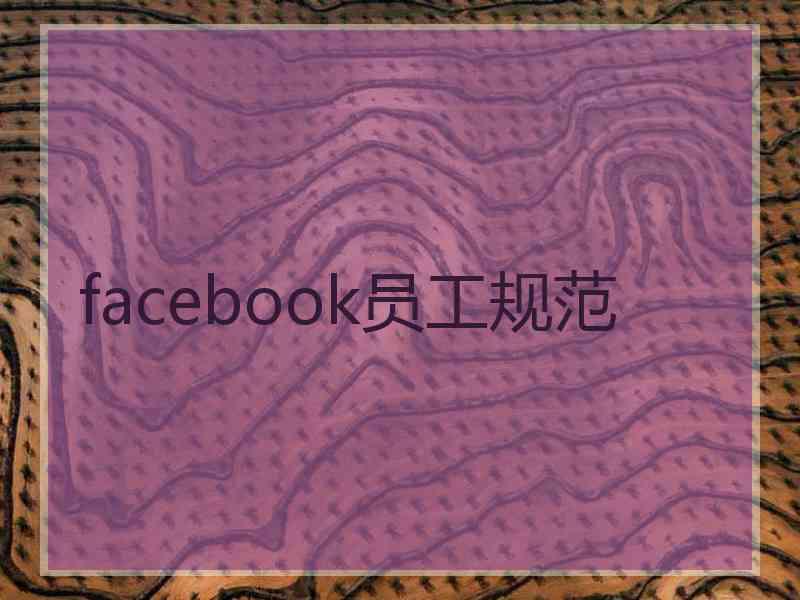 facebook员工规范