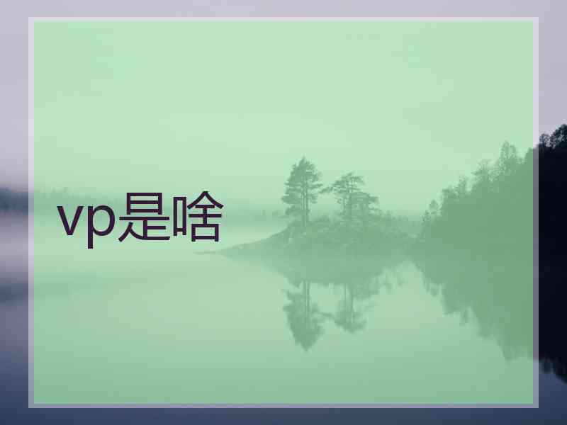 vp是啥