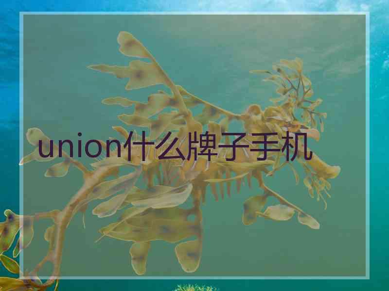 union什么牌子手机