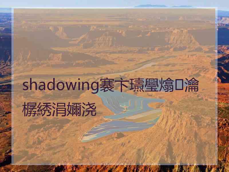 shadowing褰卞瓙璺熻瀹樼綉涓嬭浇