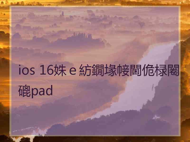 ios 16姝ｅ紡鐗堟帹閫佹椂闂磇pad