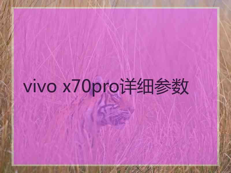 vivo x70pro详细参数