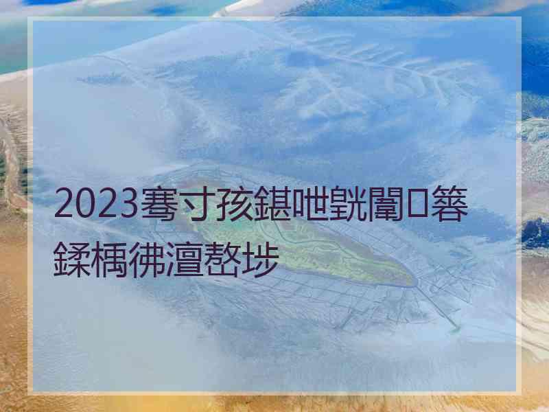 2023骞寸孩鍖呭皝闈㈠簭鍒楀彿澶嶅埗