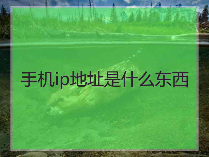 手机ip地址是什么东西