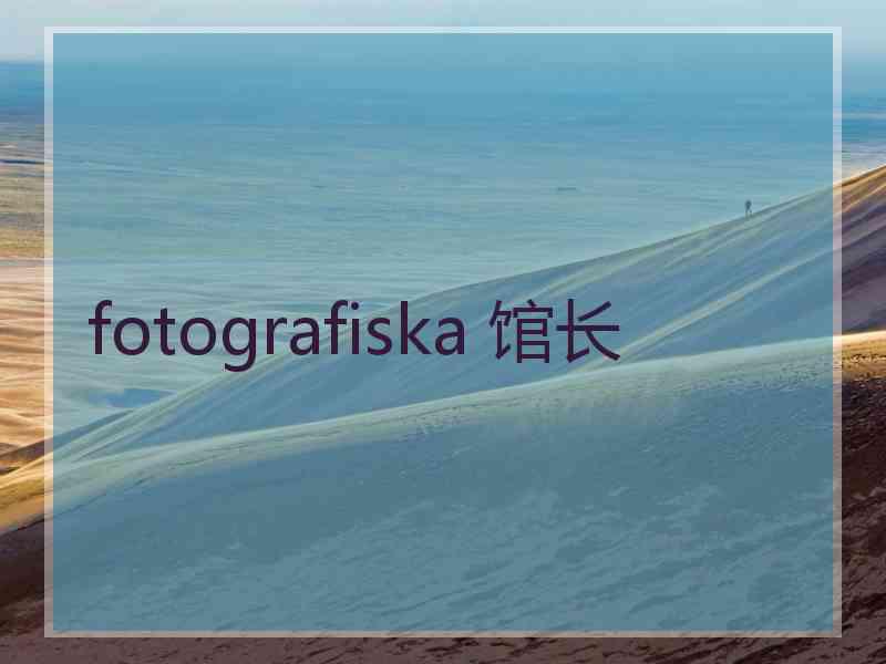 fotografiska 馆长