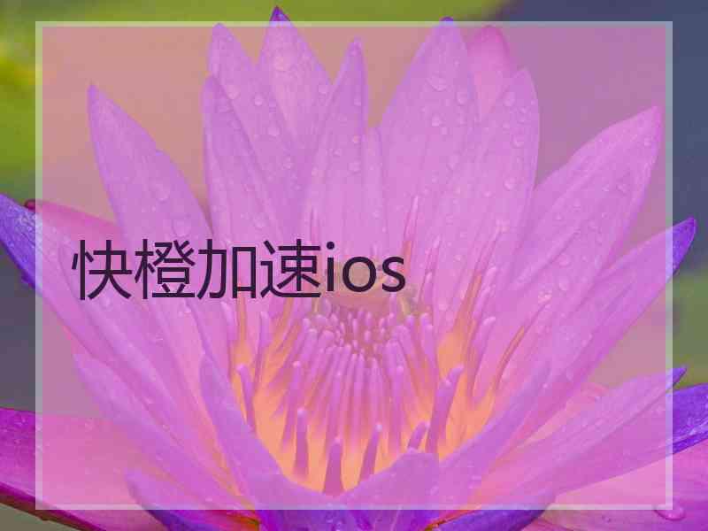 快橙加速ios