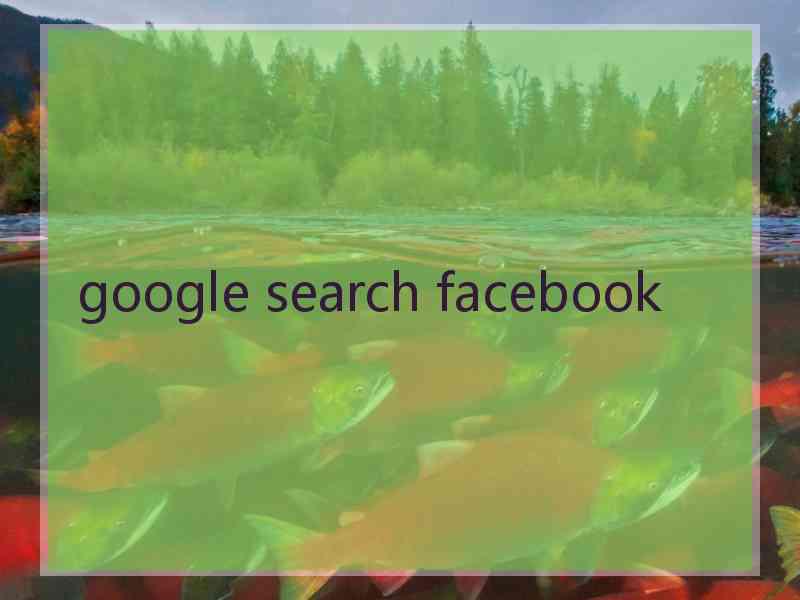 google search facebook