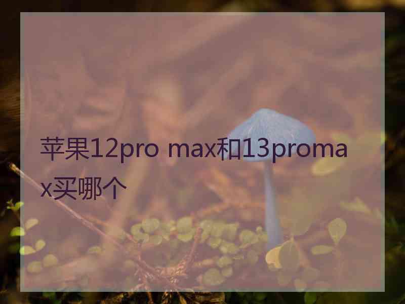 苹果12pro max和13promax买哪个