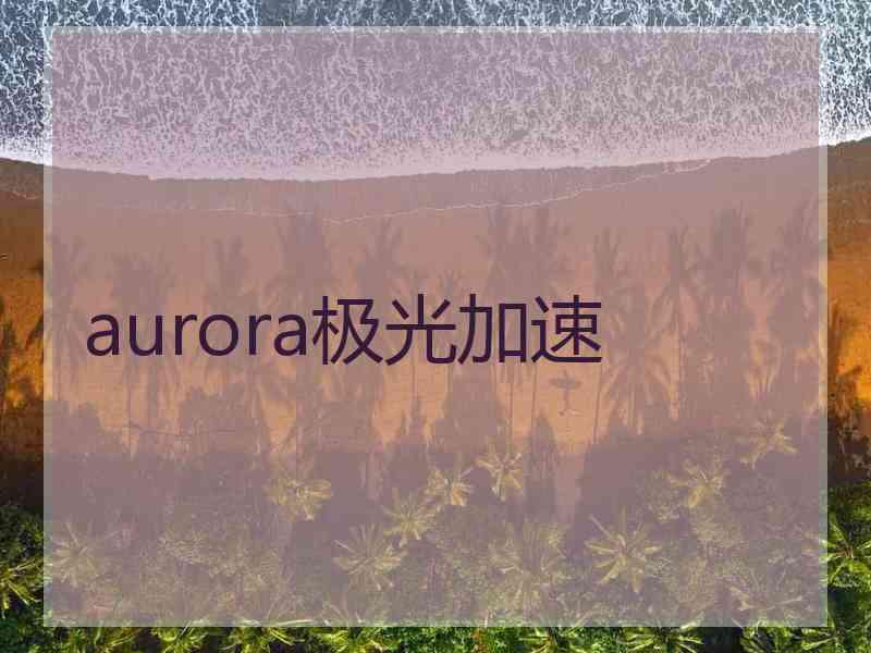 aurora极光加速