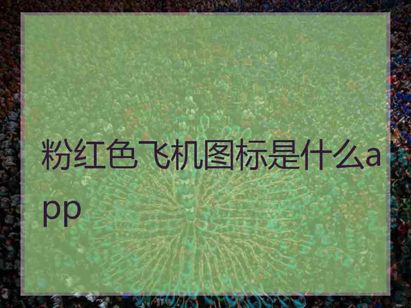 粉红色飞机图标是什么app