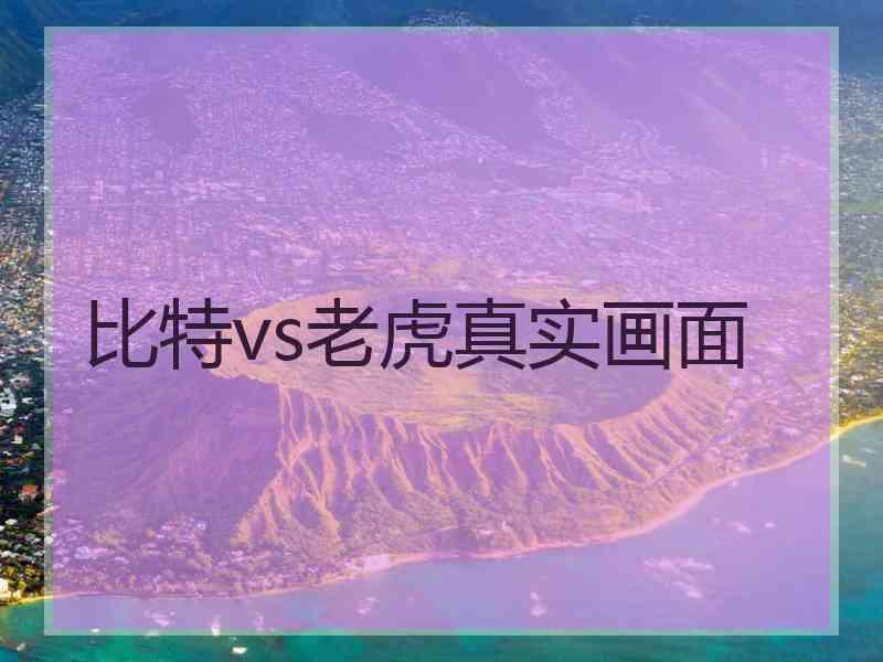 比特vs老虎真实画面