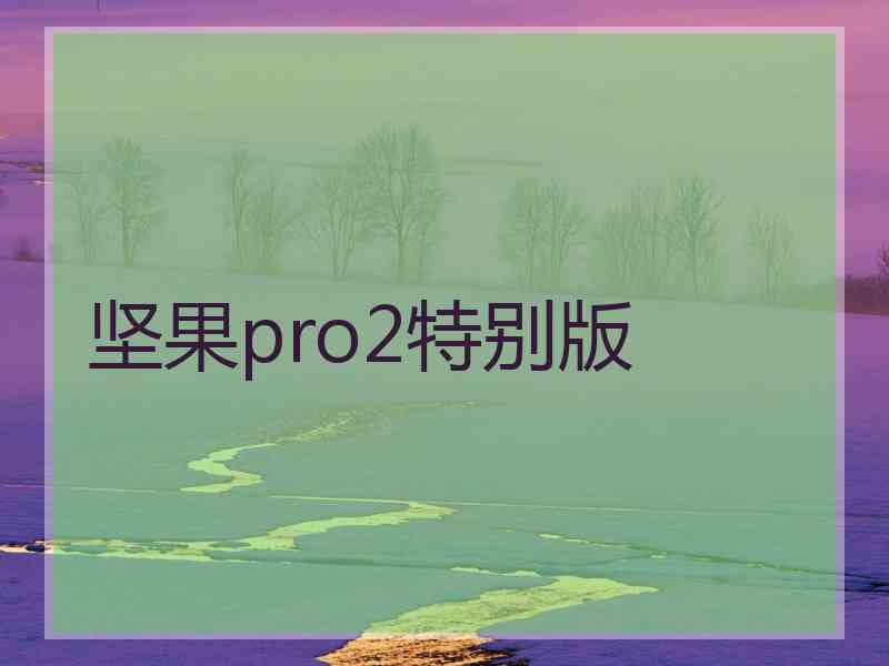 坚果pro2特别版