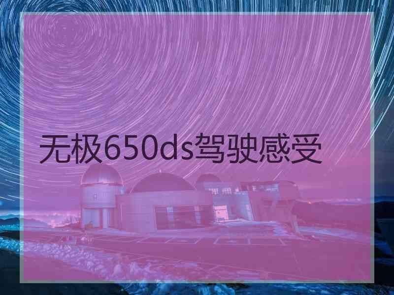 无极650ds驾驶感受