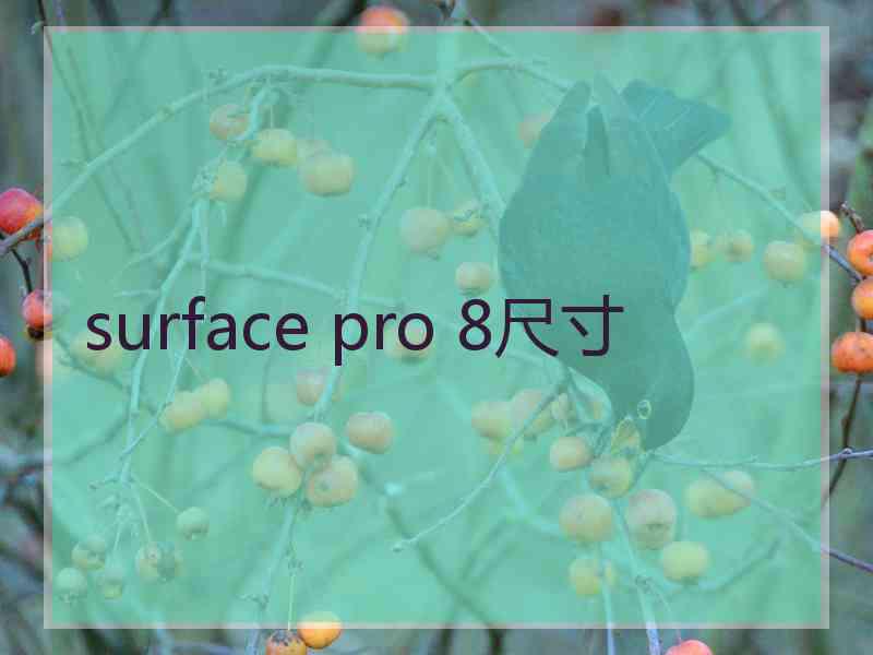 surface pro 8尺寸