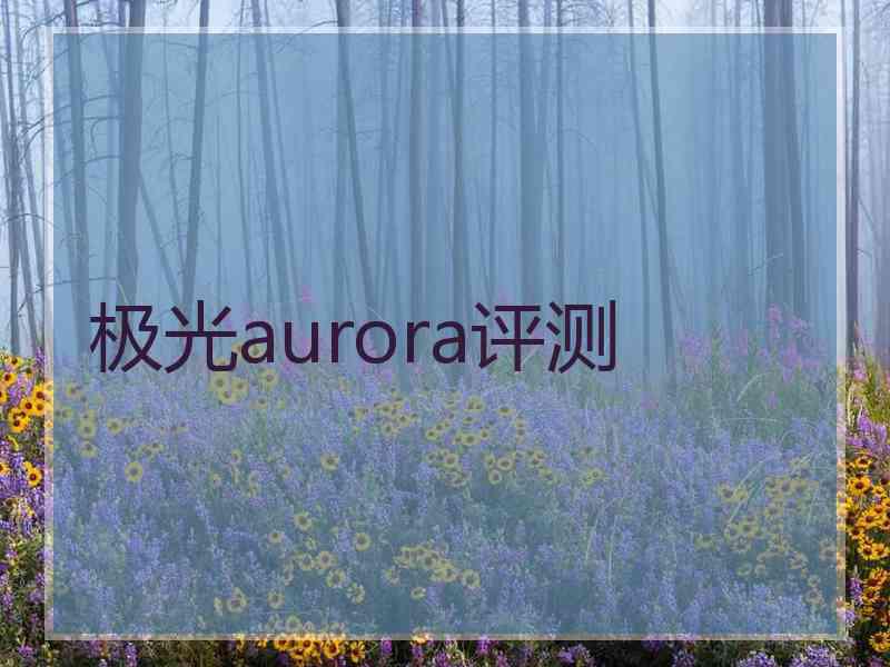 极光aurora评测