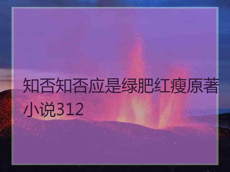 知否知否应是绿肥红瘦原著小说312