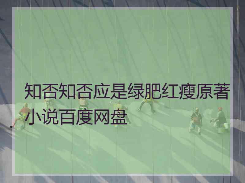 知否知否应是绿肥红瘦原著小说百度网盘