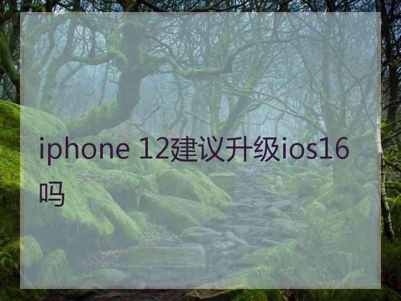 iphone 12建议升级ios16吗