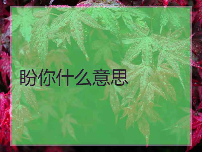 盼你什么意思