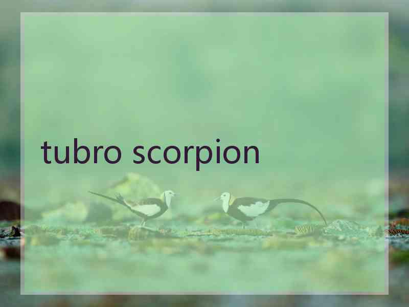 tubro scorpion