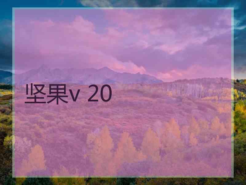 坚果v 20