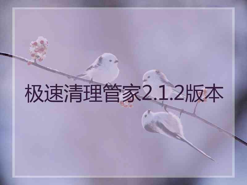 极速清理管家2.1.2版本