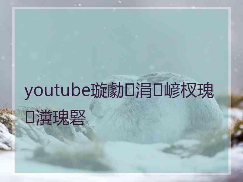 youtube璇勮涓嵃杈瑰瀵瑰硻