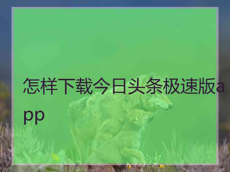 怎样下载今日头条极速版app