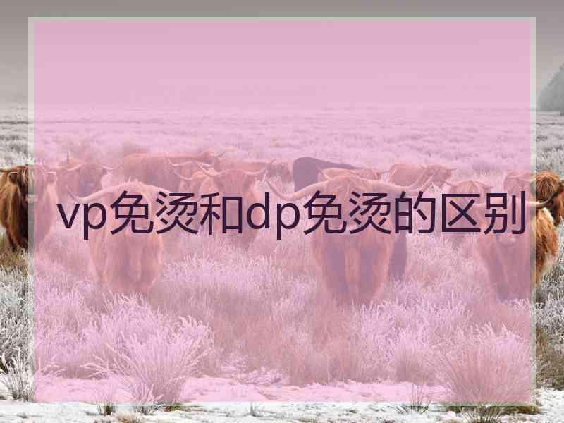 vp免烫和dp免烫的区别