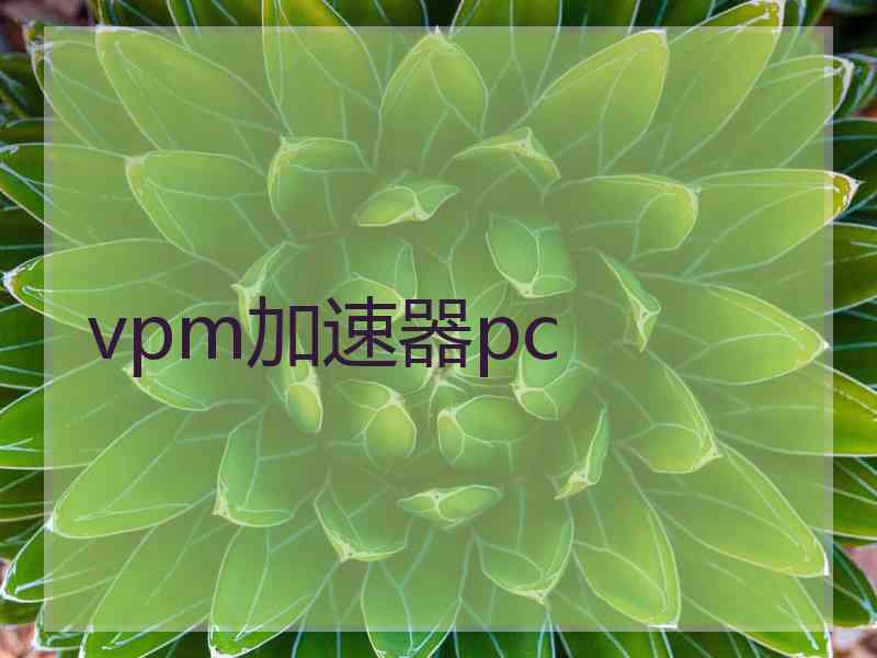 vpm加速器pc