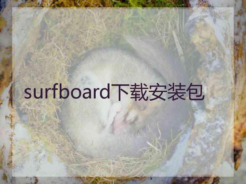 surfboard下载安装包