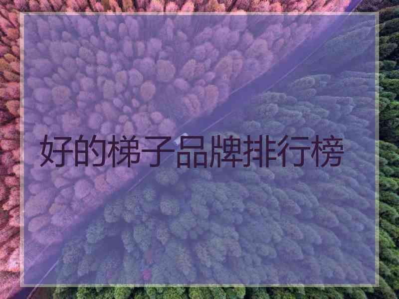 好的梯子品牌排行榜