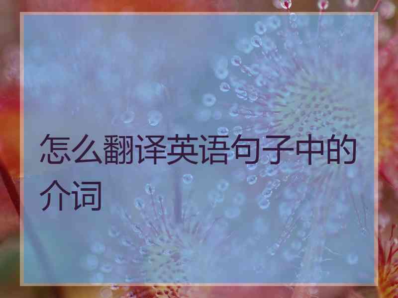 怎么翻译英语句子中的介词