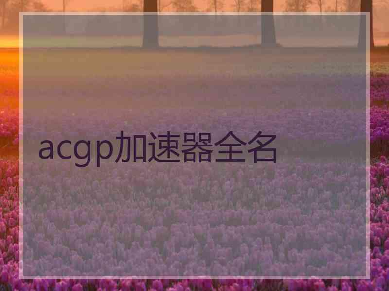 acgp加速器全名