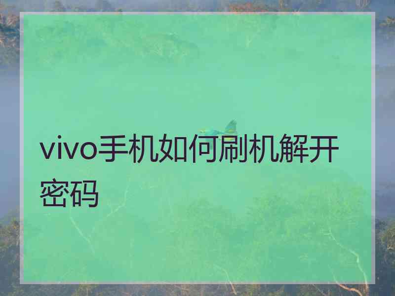 vivo手机如何刷机解开密码