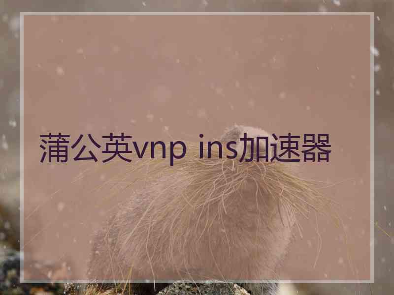 蒲公英vnp ins加速器