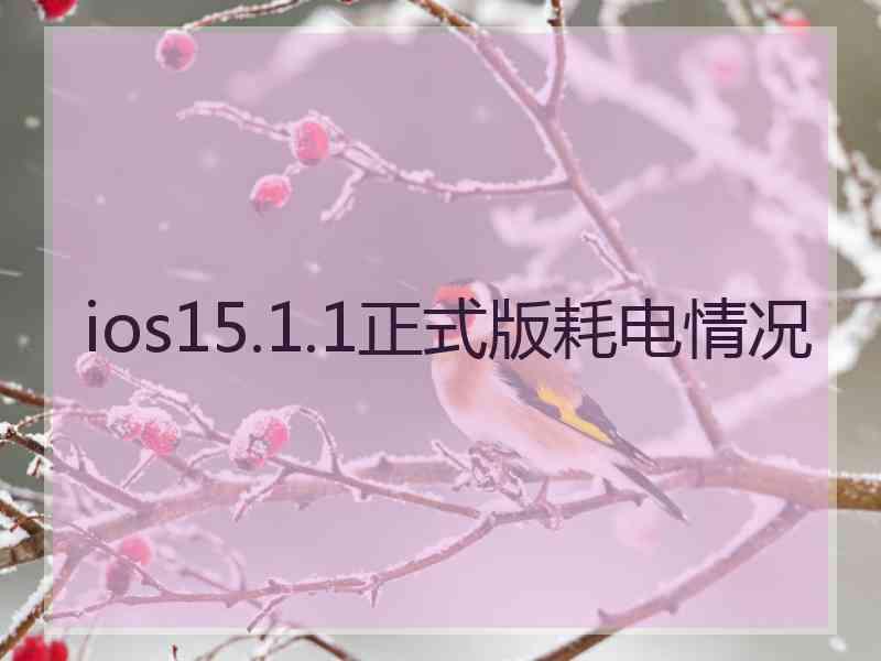 ios15.1.1正式版耗电情况