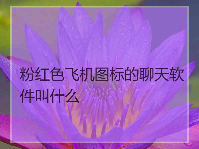 粉红色飞机图标的聊天软件叫什么