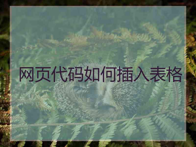 网页代码如何插入表格