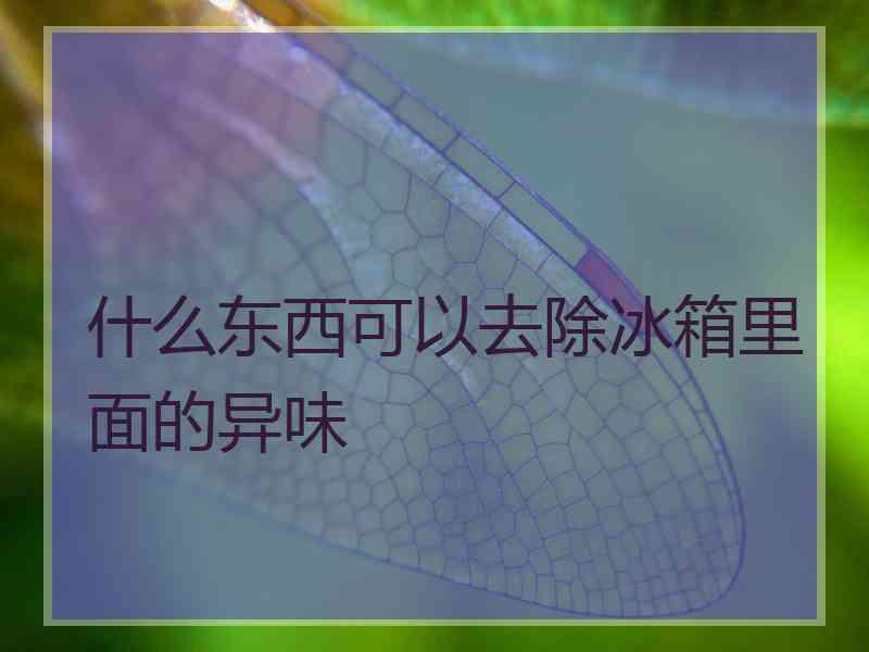 什么东西可以去除冰箱里面的异味