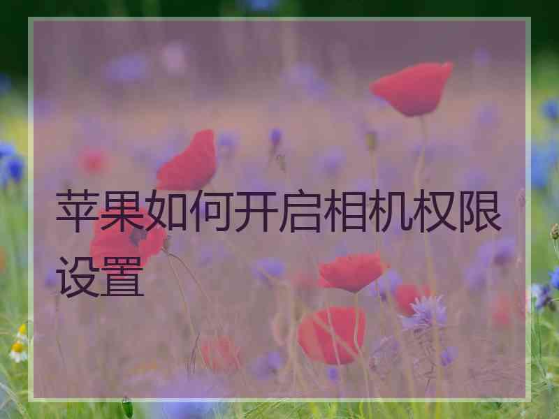 苹果如何开启相机权限设置