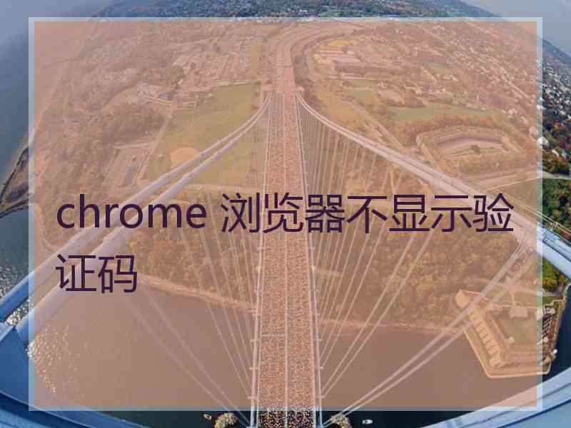 chrome 浏览器不显示验证码