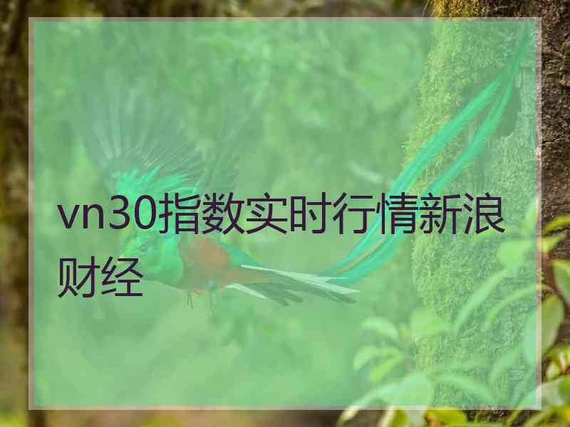 vn30指数实时行情新浪财经