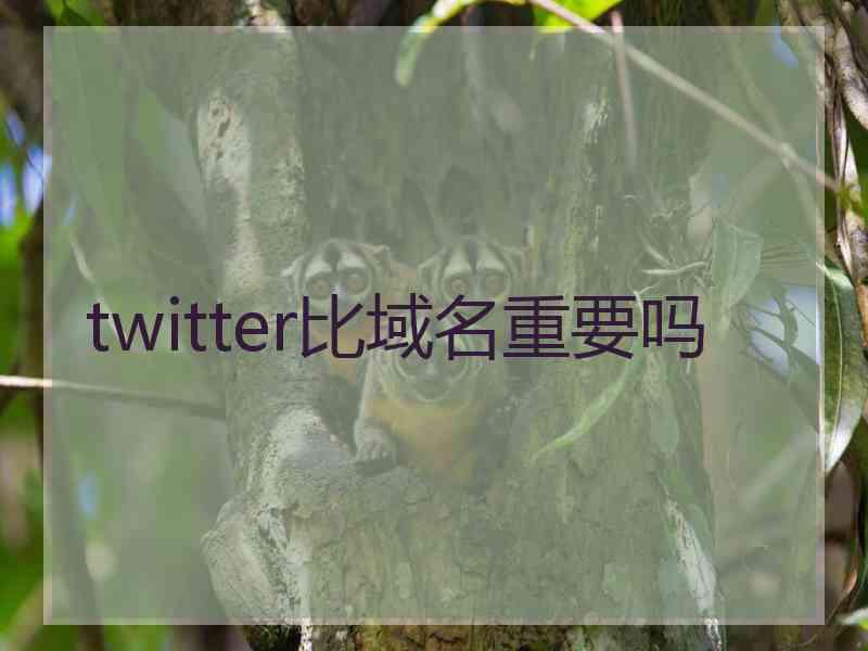 twitter比域名重要吗