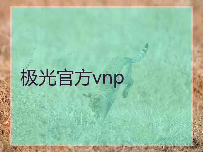 极光官方vnp