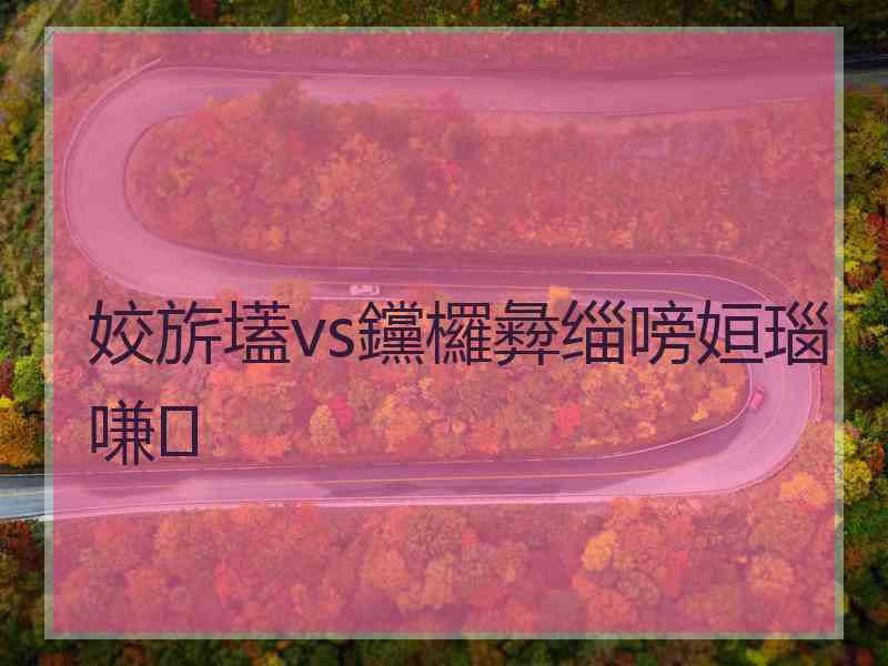 姣旂壒vs钂欏彜缁嗙姮瑙嗛